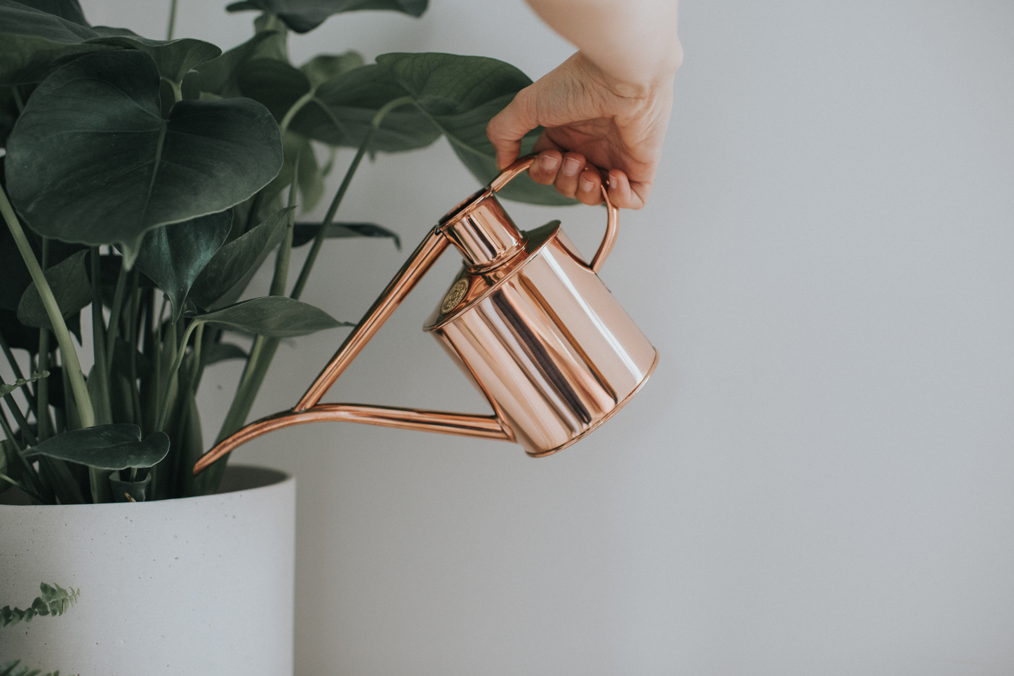Fazeley Flow Copper