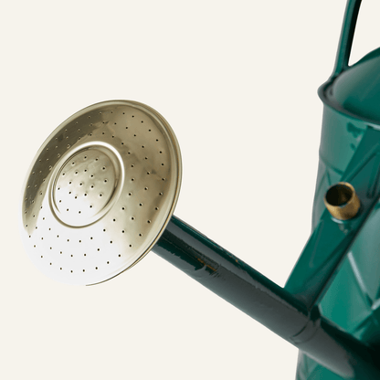 The Hockley Heritage - Two Gallon HDG