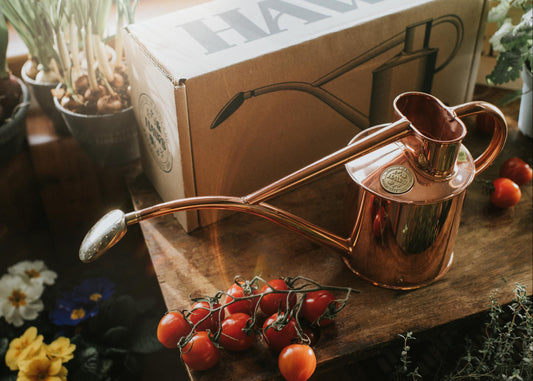 The Rowley Ripple Copper